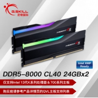 芝奇(G.SKILL) 幻锋戟 新品黑色 48G8000MHz DDR5 F5-8000J...