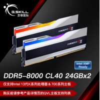 芝奇(G.SKILL) 幻锋戟 新品银色 48G8000MHz DDR5 F5-8000J...