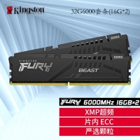 金士顿（Kingston）32G6000骇客单条  DDR5 台式机内存 Beast野兽系...